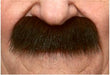 Brown and Red Costume Moustache, 8.5 x 3.5 cm