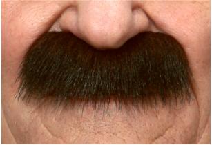 Brown and Red Costume Moustache, 8.5 x 3.5 cm