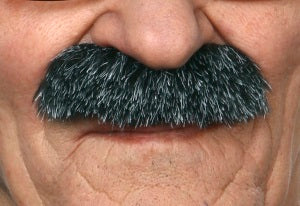 MOUSTACHE SALT PEPPE R 8.5 CM X 4.5 CM