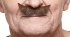 Brown and Red Costume Moustache, 8 x 2.5 cm