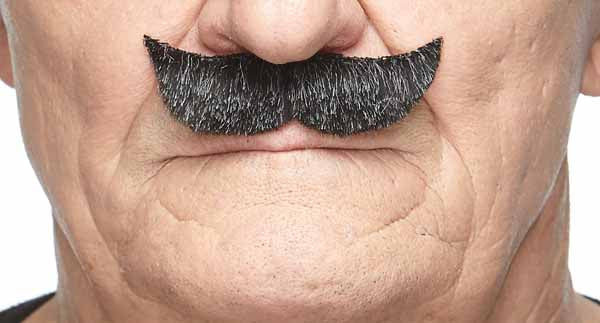 Salt and Pepper Costume Moustache, 8 x 2.5 cm