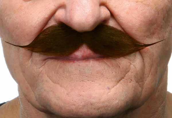 Dark Brown Costume Moustache, 14 x 2.5 cm