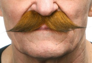 Auburn Brown Self Adhesive Handlebar Moustache