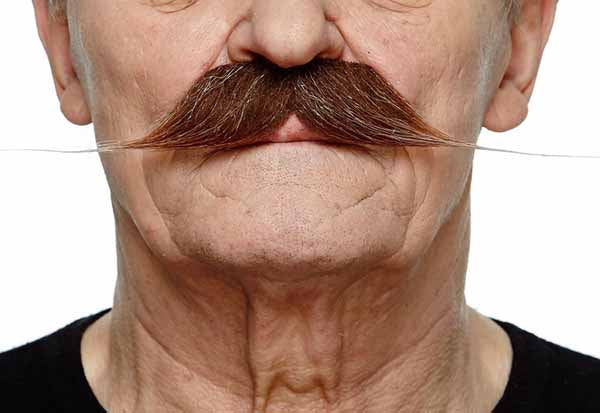 MOUSTACHE BROWN/WT 25 CM X 6 CM