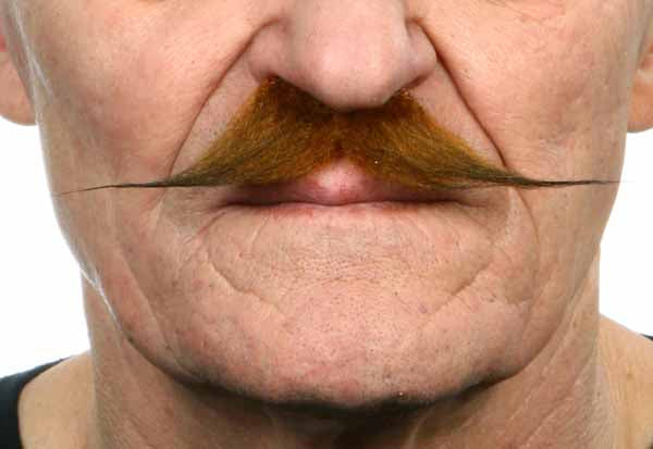 Auburn Brown Costume Moustache, 12 cm