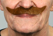 Auburn Gentleman Self-Adhesive Costume Moustache
