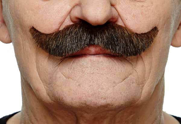 Brown Moustache with Gray Flecks