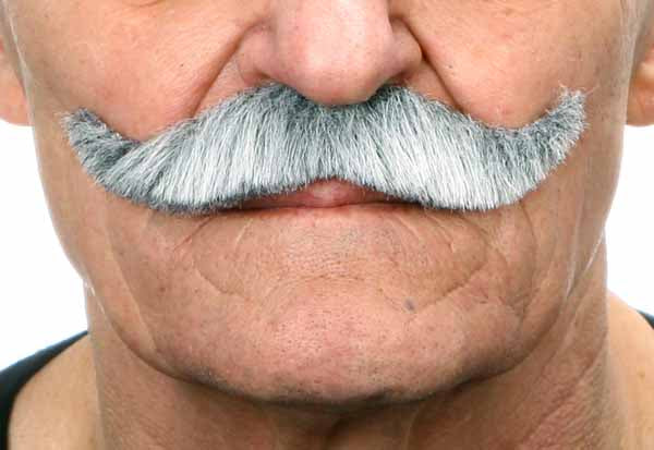 White and Grey Costume Moustache