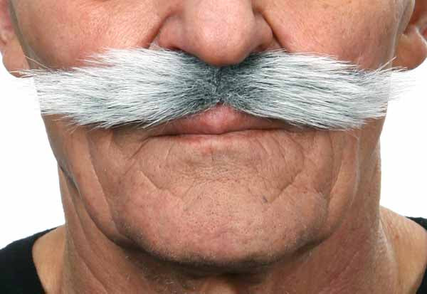 White and Grey Costume Moustache, 13.5 x 3 cm