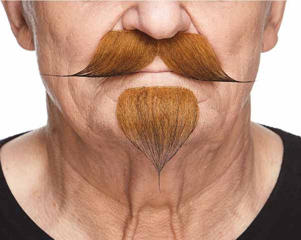 Auburn Brown Costume Beard and Moustache Set