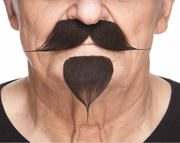 Dark Brown Costume Beard and Moustache Set