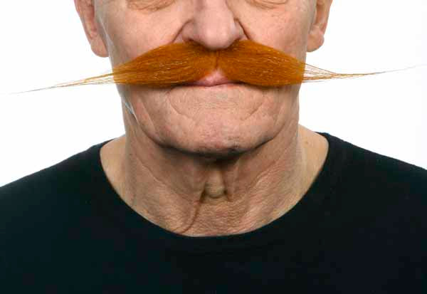 Strawberry Red Costume Moustache, 27 x 3 cm