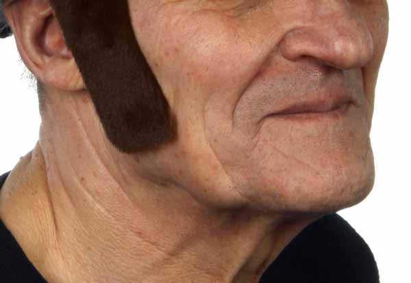 Dark Brown Costume Sideburns, 4 cm x 9 cm