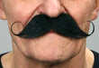 Black Curled Gentleman Moustache