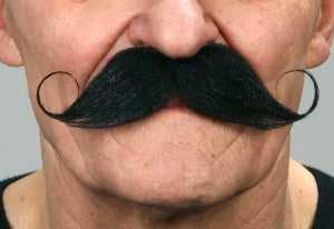 Black Curled Gentleman Moustache
