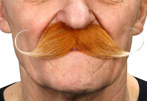 Ginger Gentleman Costume Moustache