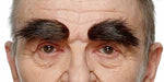 EYEBROWS BROWN W/RED FLECKS 7 CM X 3 CM