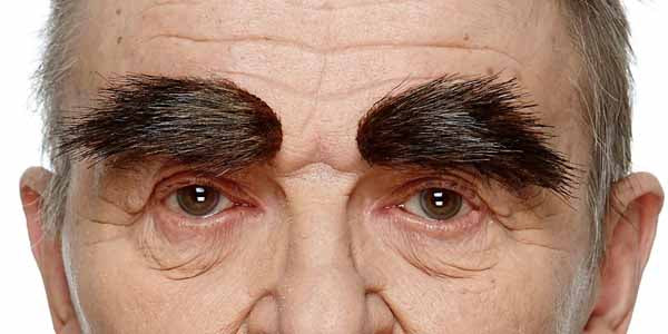 EYEBROWS BROWN W/RED FLECKS 7 CM X 3 CM