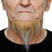 Blonde and White Costume Beard, 12 x 10.5 cm