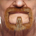 Auburn Moustache and Beard Costume Accessory