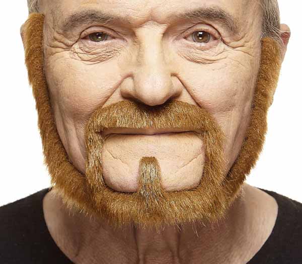Auburn Moustache and Beard Costume Set