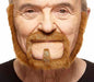 Auburn Moustache and Beard Costume Set