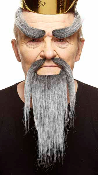 Salt and Pepper Moustache, Beard and Eyebrows Set