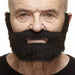 Black Costume Moustache and Beard, 24 x 15 cm