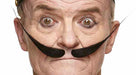 Oversized Black Costume Moustache, 24 x 9.5 cm