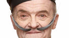 Black and Grey Costume Moustache, 21 x 11 cm