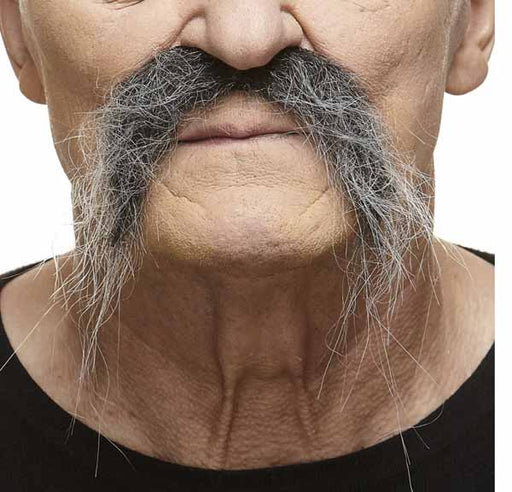 Black and Grey Costume Moustache