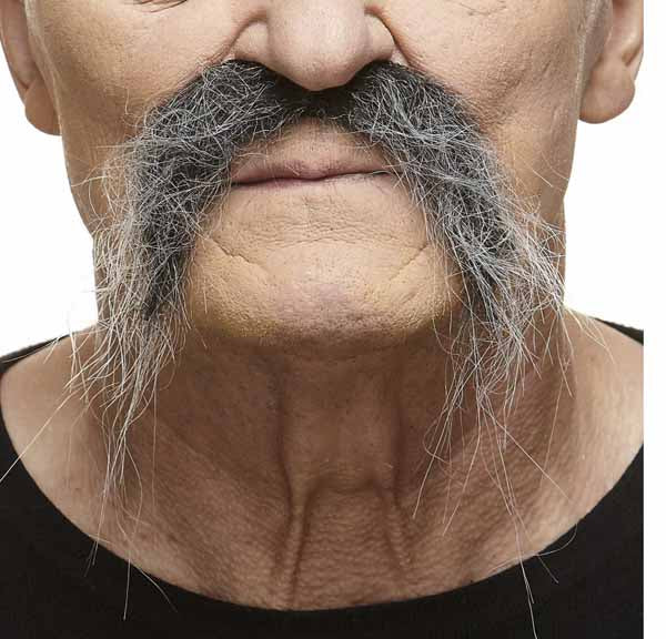 Black and Grey Costume Moustache