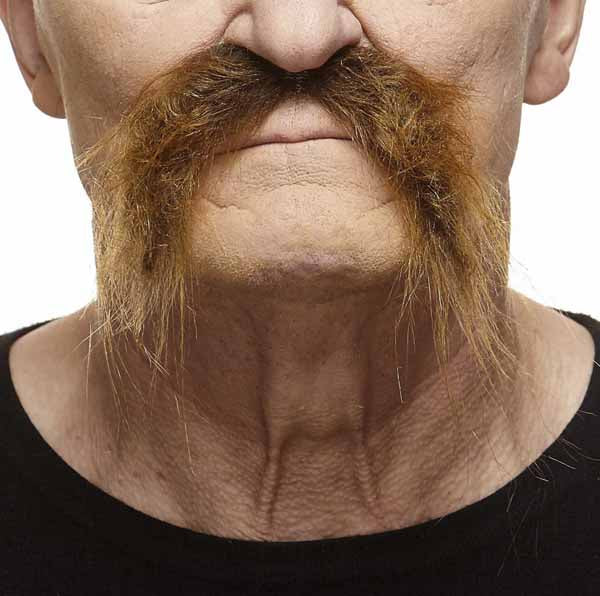 Medium Brown Costume Moustache, 10 x 11 cm