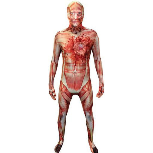 "Beating Heart Muscle Xl: An Educational Tool For Anatomy"