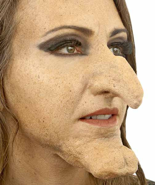 Woochie Witch Hazel Latex Prosthetic Nose and Chin Set