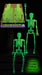 14-Inch Glow-in-the-Dark Posable Skeleton