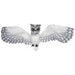 "Fly The Stunning White Owl Drone"