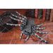 "Get Creepy With The 18" Giant Terrible Tarantula 4Pk!"