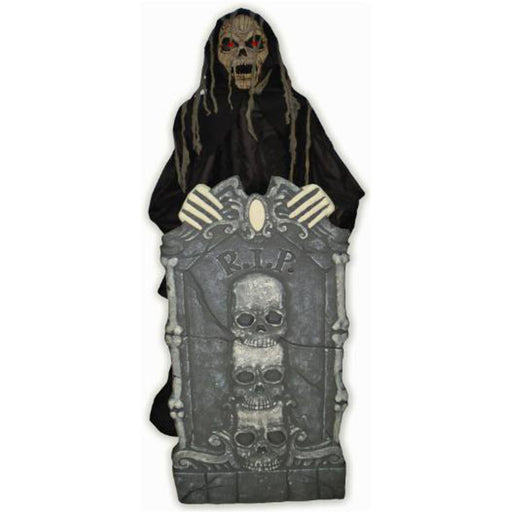 Guardian Of The Grav E Safe With Fog Compatibility.