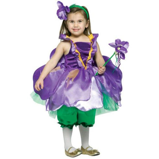 "Iris Toddler Fairy Costume - Size 3-4"
