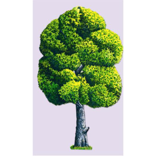 Jointed Spring Maple Tree 3' 1/Pkg