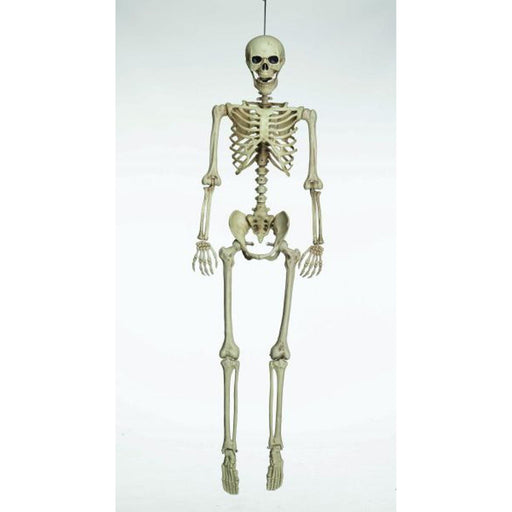 Lifelike Halloween Hanging Skeleton - 5ft