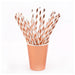 Rose Gold Striped Straws 12ct