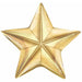 "Shining Gold Star Balloon - Tuftex 24" 24K Star Bright Foil Pkgd"