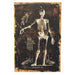 "Skeleto N Canvas Print - L24"Xw16'"