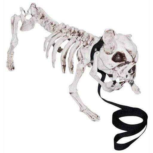 Spooky Skeleton Dog Set - 4/Ctn