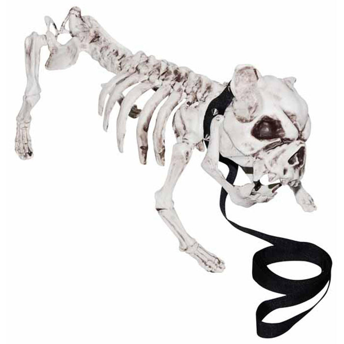 Spooky Skeleton Dog — Shimmer & Confetti