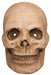 Catacomb Skull Halloween Mask