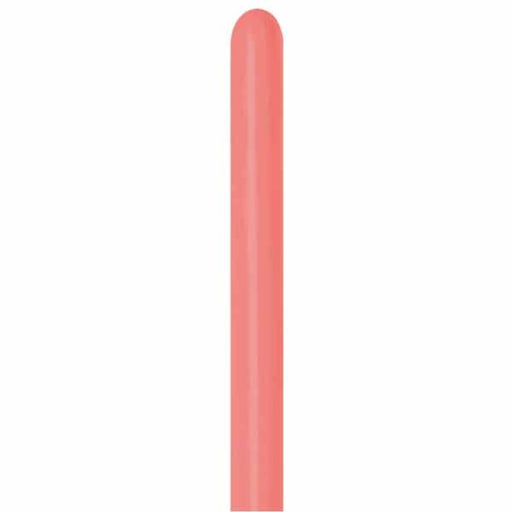 Sempertex Tropical Coral 260 Twisting Balloons, 50 Count