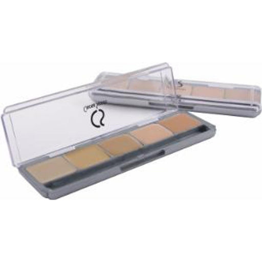 Ultimate Corrector Pro Palette 1: 5-In-1 Shades For Flawless Skin.